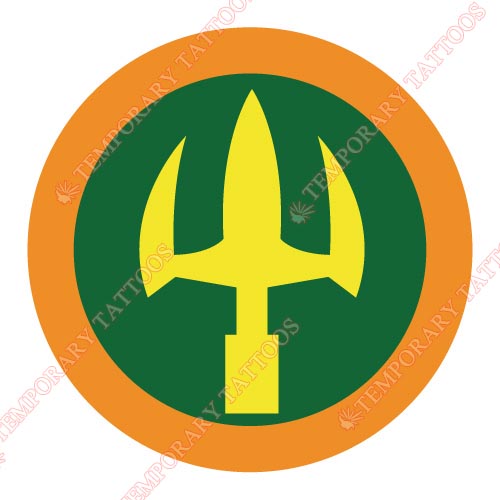 Aquaman Customize Temporary Tattoos Stickers NO.438